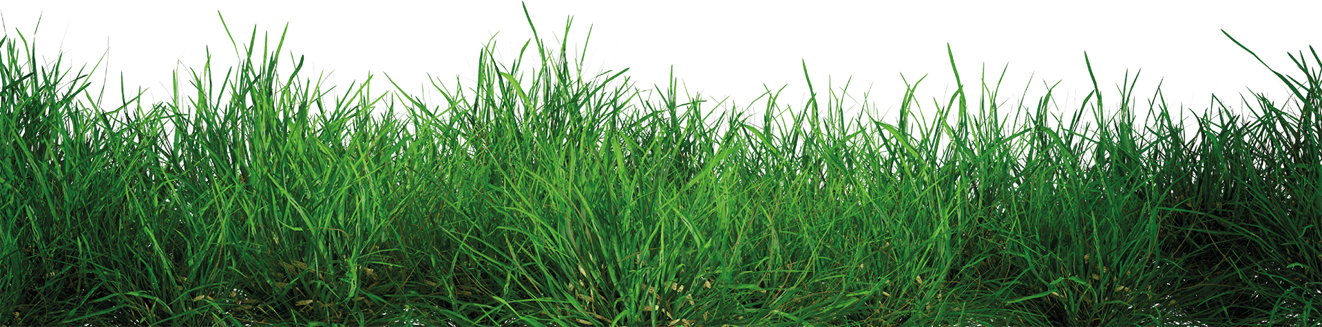 Gras Element groß