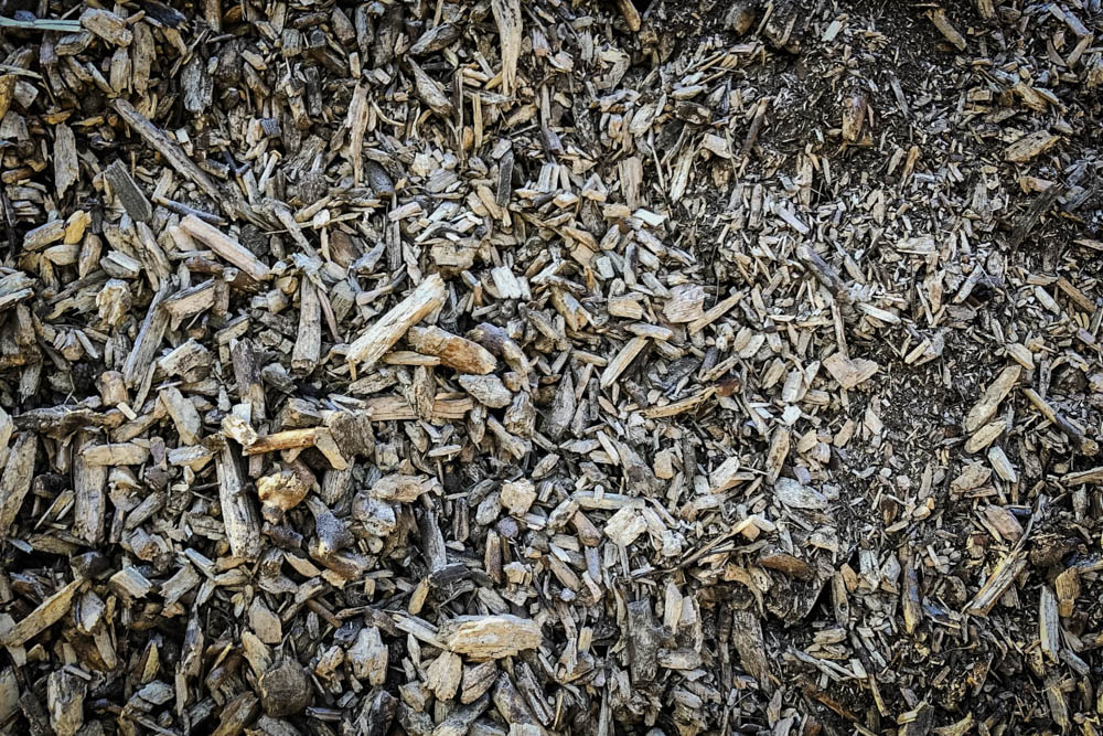 Biomass-Processing-Source-Material-IMG_5391-web