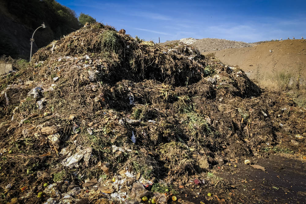 Biomass-Processing-Source-Material-IMG_6403-web